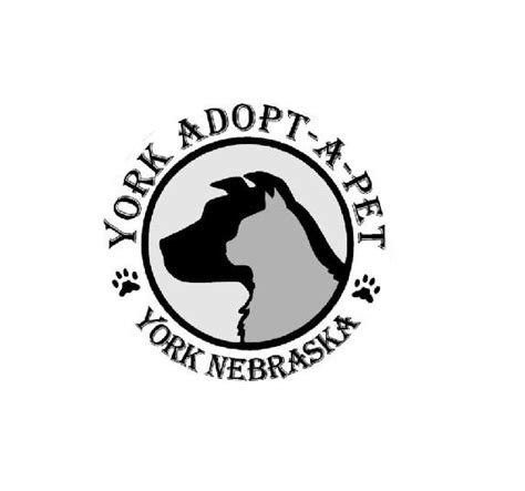 York adopt a pet - York Adopt-A-Pet, York, Nebraska. 9,573 likes · 464 talking about this · 635 were here. Animal Rescue Organization 